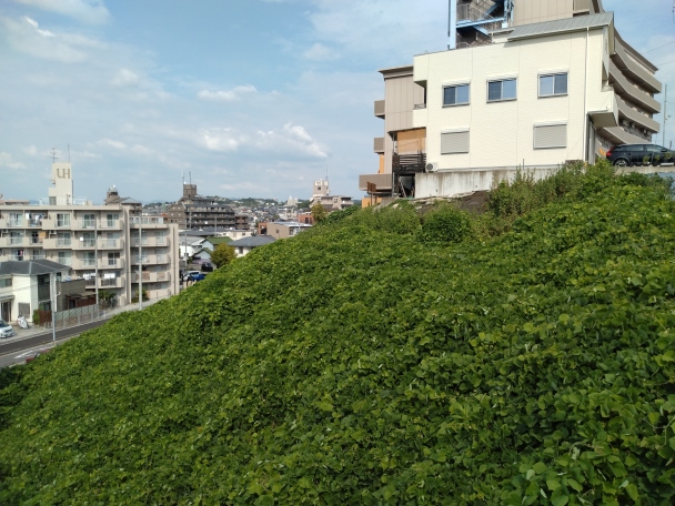 北側の斜面
