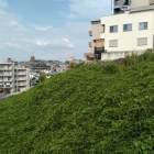 北側の斜面