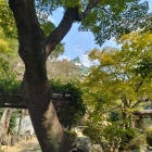 庭園の木の間から見える模擬天守閣