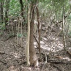 主要部の高い切岸