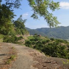 それっぽさはあるが