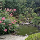 日本庭園と金鳳亭