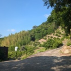 このあたりから城域