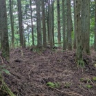 東塔北谷の遺構、曲輪状