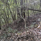 北西尾根の畝状竪堀の一条