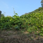 的場之跡の石碑