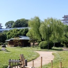③	庭園全景