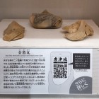 ⑤	二ノ丸で発見された金箔瓦