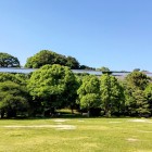 ⑥	西芝生広場より明石城を見上げる