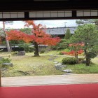 居間から望むお庭