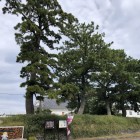 二の丸跡の土塁