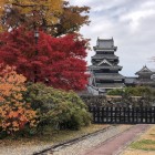 天守2（御殿跡から）