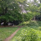 本城曲輪（土塁上に「築井古城記碑」があります）