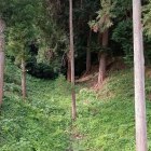 竪堀（津久井湖側の園路から撮影）