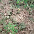 家老屋敷跡の石積み