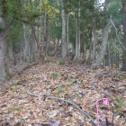 郭が連なっていく