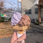 隣の店でジェラートを購入