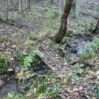 小川を越えて行く