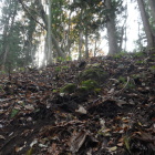 石積らしいもの