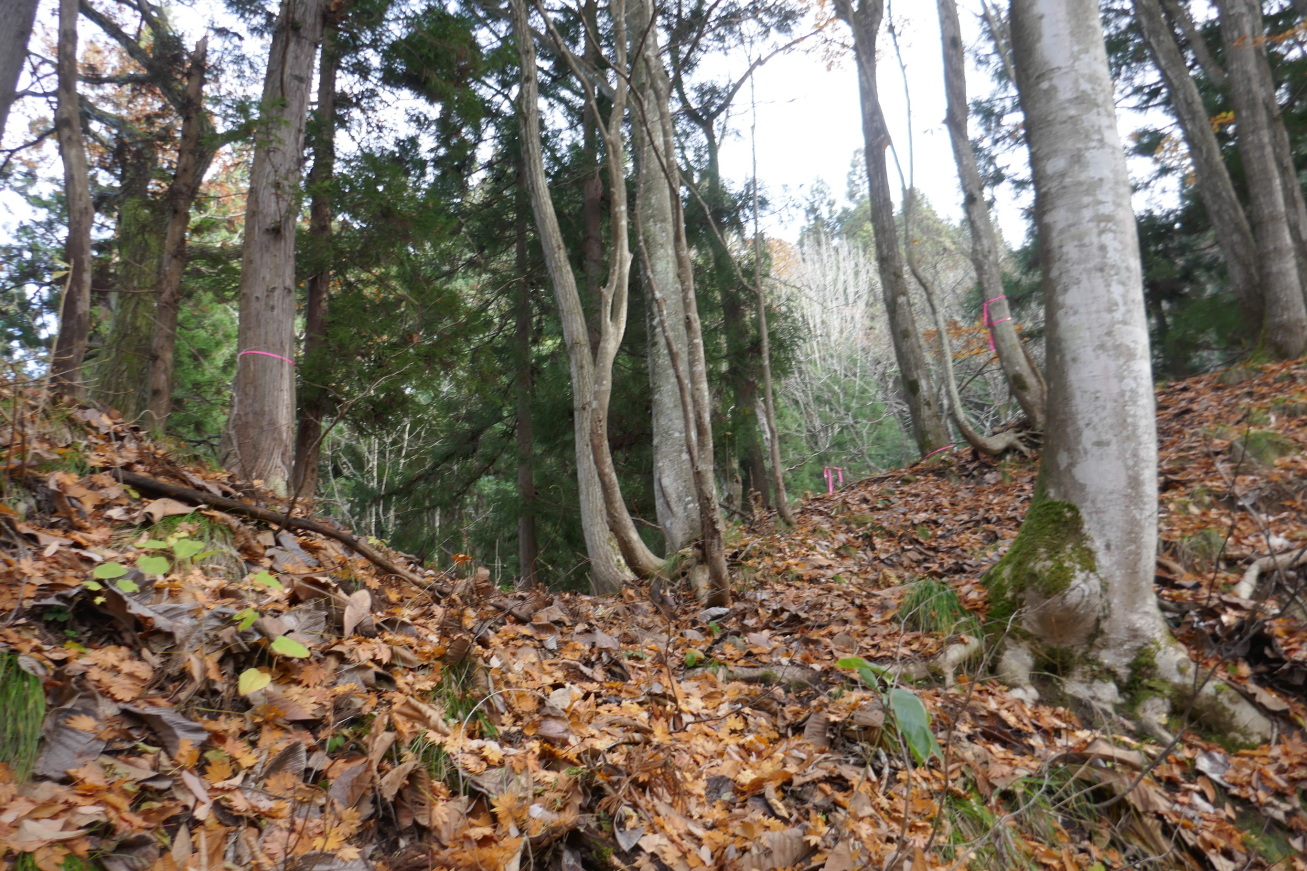 主郭の手前の堀切