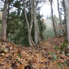 主郭の手前の堀切