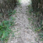 麓の堀切と土橋