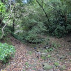 この近くで放獣