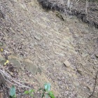 ここを登って行かねばならない