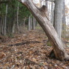 上にもまだ郭がある