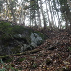 ここから堀切に登れる