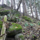 尾根の北西　ここからも登れる