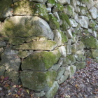 形状を整えて有る