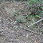 郭に残る石積み