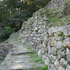 上まで登って行ける