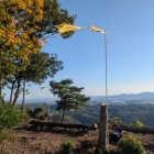 旗が破れていますぞ