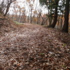 林道にぶち当たる