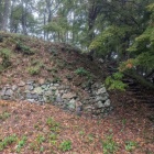 伝・本丸へヒロミゴー