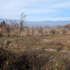 道沿いに出てきた