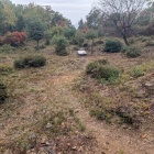 「江」のロケ地で使われた場所