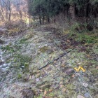 電気柵が倒されている