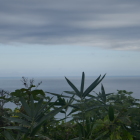 隠岐の島は見えず