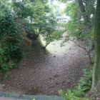 持仏堂曲輪の堀