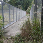 南の尾根への道　今回はパス