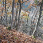 増えた体重が足を引っ張る