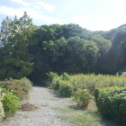 道が続いている