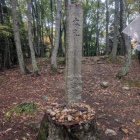 木を切って移された城址碑