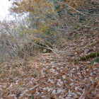 多数の扁平地が有る