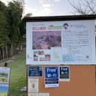 Wi-Fiはいんなかったんですけど😅