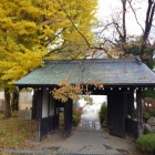 三の丸御殿裏門