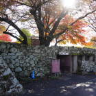 見駐車場からすぐの公園口